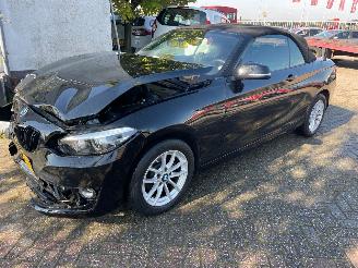 BMW 2-serie 218i clima/pdc/cabriolet picture 1