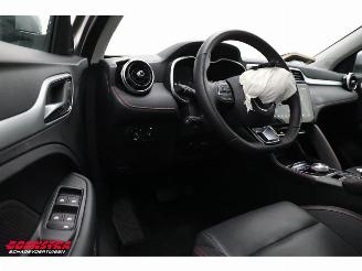 MG ZS EV Standard Range Luxury 50 kWh Leder Pano 360° picture 19