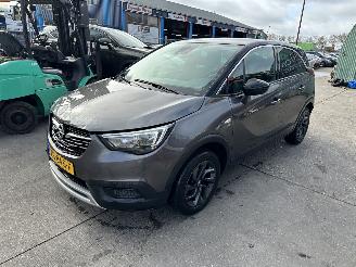 Opel Crossland 1.2 Turbo 81KW Clima Led 120 Jaar Edition NAP picture 5