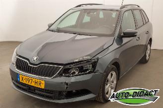Voiture accidenté Skoda Fabia 1.2 TSI Automaat First Edition Ambition 2017/5