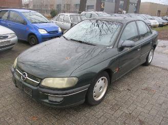 occasione autovettura Opel Omega  1995/1