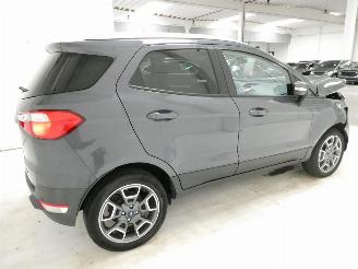Ford EcoSport 1.0 picture 8