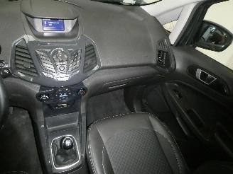 Ford EcoSport 1.0 picture 11