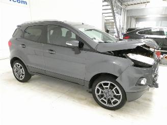 Ford EcoSport 1.0 picture 9