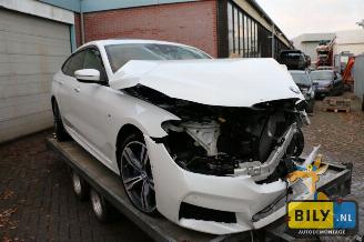demontáž osobní automobily BMW 6-serie G32 3.0dX 2017/8