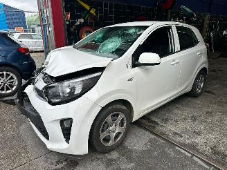 demontáž osobní automobily Kia Picanto  2019/3